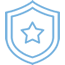 Shield Icon