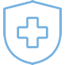 Shield Icon